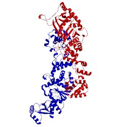 Image of CATH 3pnv