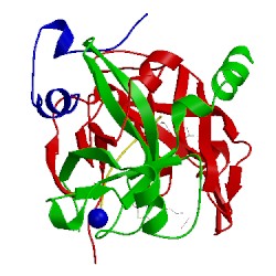 Image of CATH 3po1