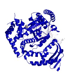 Image of CATH 3po5