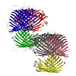 Image of CATH 3pox