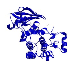 Image of CATH 3poz