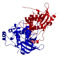 Image of CATH 3pp0