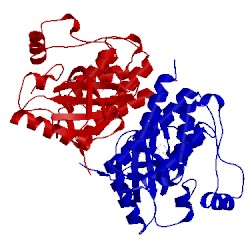 Image of CATH 3psb