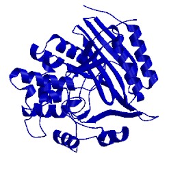 Image of CATH 3pte