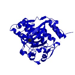 Image of CATH 3pua