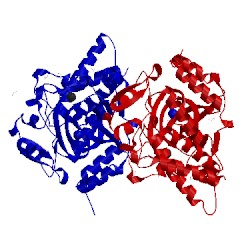 Image of CATH 3pus