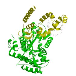 Image of CATH 3pv0