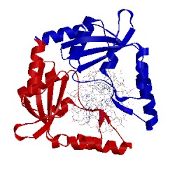 Image of CATH 3pvi