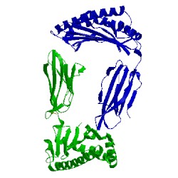 Image of CATH 3pwv