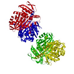 Image of CATH 3pyl