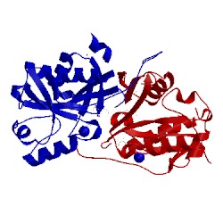Image of CATH 3pzj