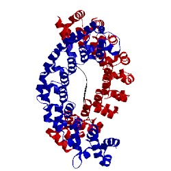 Image of CATH 3q0o