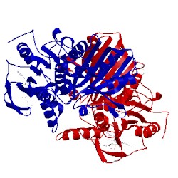 Image of CATH 3q11