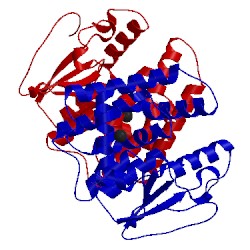 Image of CATH 3q18