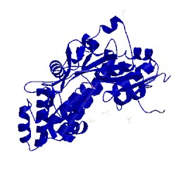 Image of CATH 3q28