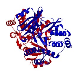 Image of CATH 3q2j
