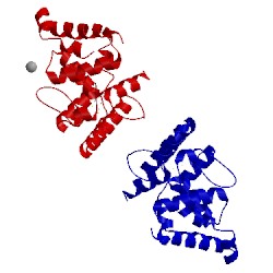 Image of CATH 3q36