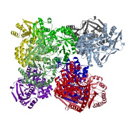 Image of CATH 3q45