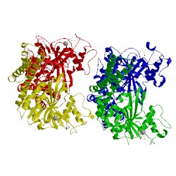 Image of CATH 3q5e