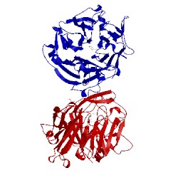 Image of CATH 3q6k