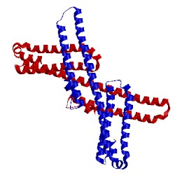 Image of CATH 3q7l