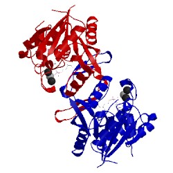 Image of CATH 3q80