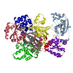 Image of CATH 3q8v