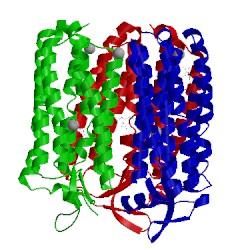 Image of CATH 3qbk