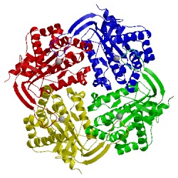 Image of CATH 3qbu