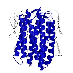 Image of CATH 3qdc