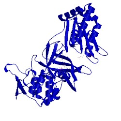 Image of CATH 3qfs