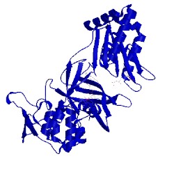 Image of CATH 3qft