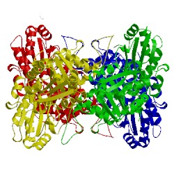 Image of CATH 3qi6