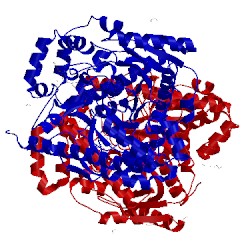 Image of CATH 3qj9