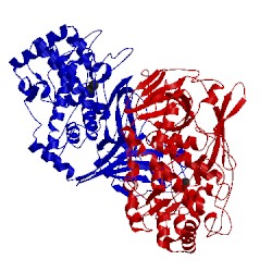 Image of CATH 3qjo