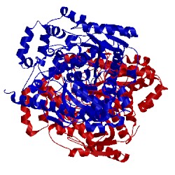 Image of CATH 3qkv