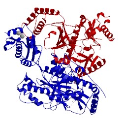 Image of CATH 3qlh