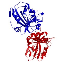 Image of CATH 3qls