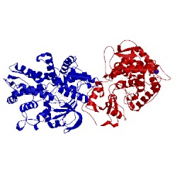 Image of CATH 3qm4
