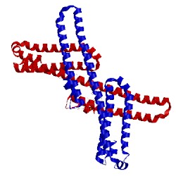 Image of CATH 3qmk