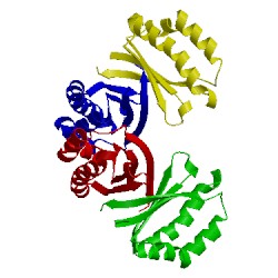 Image of CATH 3qmq