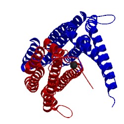 Image of CATH 3qni
