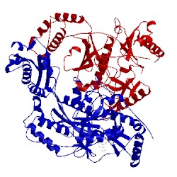 Image of CATH 3qo9