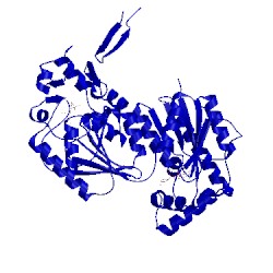 Image of CATH 3qpv