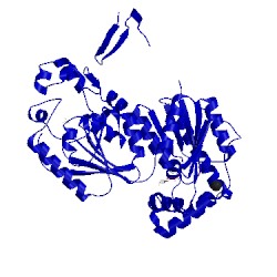 Image of CATH 3qpw