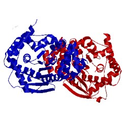 Image of CATH 3qr9