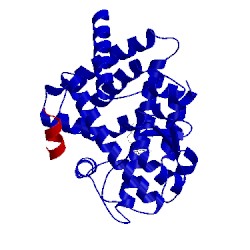 Image of CATH 3qt0