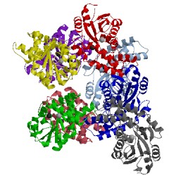 Image of CATH 3qu4