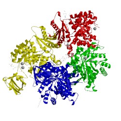 Image of CATH 3qv7