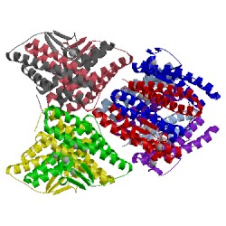 Image of CATH 3qvd